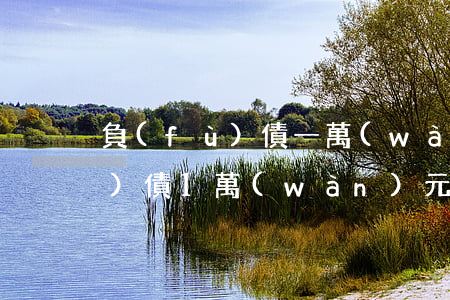 負(fù)債一萬(wàn)元-負(fù)債1萬(wàn)元如何還清