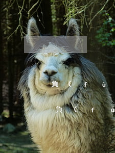 負(fù)債三萬(wàn)多怎么上岸-負(fù)債三萬(wàn)多怎么上岸的