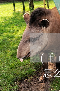 負(fù)債三萬怎么辦-負(fù)債三萬怎么辦,好痛苦