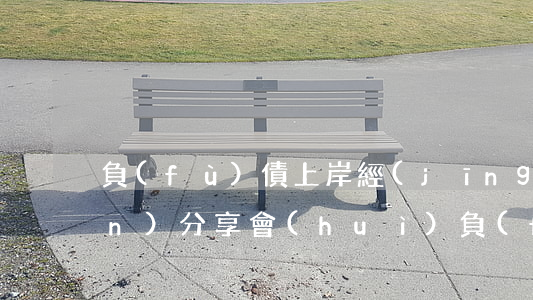 負(fù)債上岸經(jīng)驗(yàn)分享會(huì)(負(fù)債上岸經(jīng)驗(yàn)分享會(huì)發(fā)言稿)