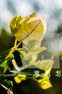 負(fù)債了累累怎么搞-負(fù)債累累怎么搞到錢