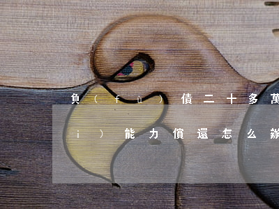 負(fù)債二十多萬(wàn)沒(méi)能力償還怎么辦啊-負(fù)債二十多萬(wàn)沒(méi)能力償還怎么辦啊視頻