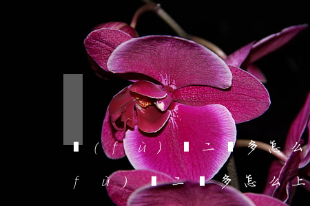 負(fù)債二萬多怎么上岸啊貼吧-負(fù)債二萬多怎么上岸啊貼吧