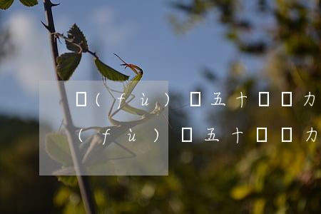 負(fù)債五十萬無力償還會怎么樣-負(fù)債五十萬無力償還會怎么樣呢