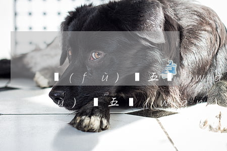 負(fù)債五萬(wàn)想死-負(fù)債五萬(wàn)想死正常嗎