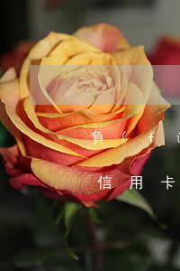 負(fù)債人7張信用卡逾期(欠多家銀行信用卡逾期)