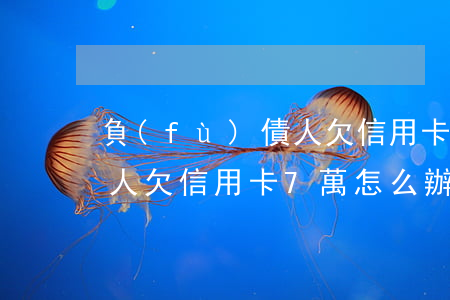 負(fù)債人欠信用卡7萬(負(fù)債人欠信用卡7萬怎么辦)