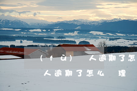 負(fù)債人逾期了怎么處理（負(fù)債人逾期了怎么處理）
