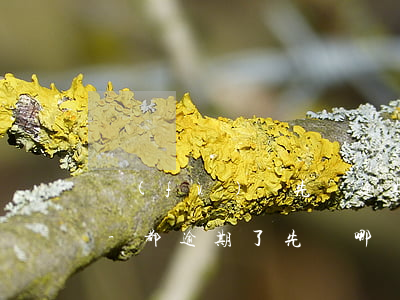 負(fù)債先還逾期的還是先還沒逾期的-都逾期了先還哪個(gè)呢