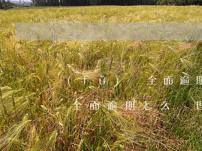 負(fù)債全面逾期怎么辦-負(fù)債全面逾期怎么辦理