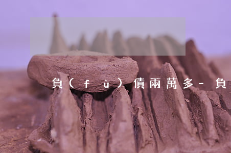 負(fù)債兩萬多-負(fù)債20萬