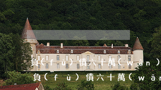 負(fù)債六十萬(wàn)如何翻身-負(fù)債六十萬(wàn)如何翻身賺錢