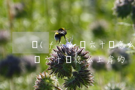 負(fù)債六十萬怎么上岸-負(fù)債六十萬怎么上岸的