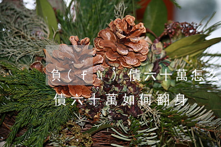 負(fù)債六十萬怎么翻身-負(fù)債六十萬如何翻身