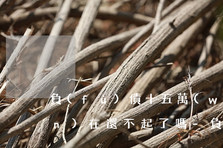 負(fù)債十五萬(wàn)現(xiàn)在還不起了嗎-負(fù)債十五萬(wàn)現(xiàn)在還不起了嗎怎么辦