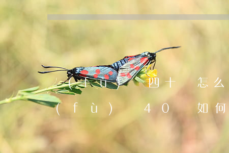 負(fù)債四十萬怎么規(guī)劃(負(fù)債40萬如何走出困境)