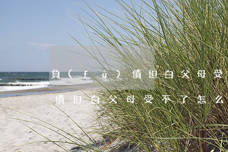 負(fù)債坦白 父母受不了-負(fù)債坦白 父母受不了怎么辦