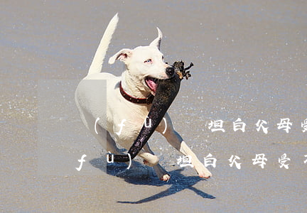 負(fù)債坦白 父母受不了怎么辦-負(fù)債坦白 父母受不了怎么辦呢