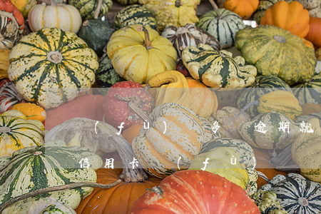 負(fù)債多沒逾期就能繼續(xù)辦信用卡(負(fù)債過多還能辦信用卡嗎)