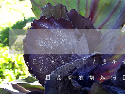 負(fù)債太多全面逾期怎么辦(負(fù)債高有逾期如何貸款)