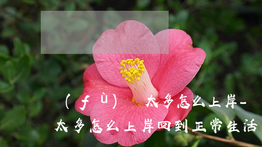 負(fù)債太多怎么上岸-負(fù)債太多怎么上岸回到正常生活