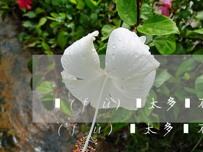 負(fù)債太多還不起怎么處理最好-負(fù)債太多還不起怎么處理最好辦法