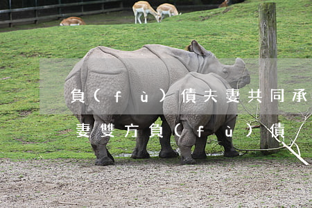 負(fù)債夫妻共同承擔(dān)嗎 夫妻雙方負(fù)債