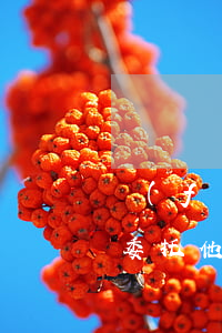 負(fù)債委托處理可靠嗎(負(fù)債委托他人處理可靠嗎)