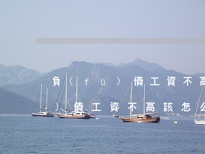 負(fù)債工資不高該怎么辦-負(fù)債工資不高該怎么辦呢