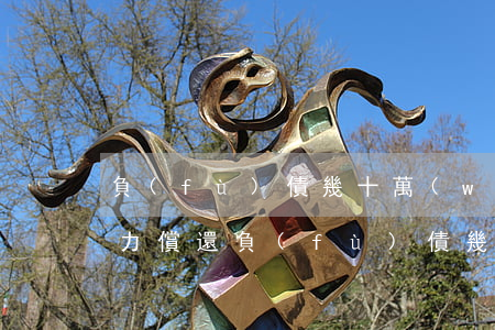 負(fù)債幾十萬(wàn)無(wú)力償還(負(fù)債幾十萬(wàn)無(wú)力償還)