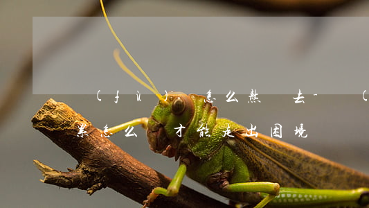 負(fù)債怎么熬過去-負(fù)債累累怎么樣才能走出困境