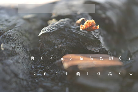 負(fù)債怎么規(guī)劃還款-負(fù)債10萬(wàn)怎么規(guī)劃還款