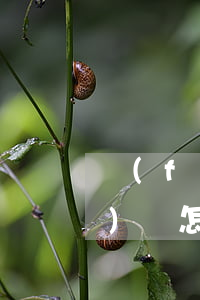 負(fù)債怎樣才能翻身不倒-負(fù)債怎樣才能翻身不倒翁