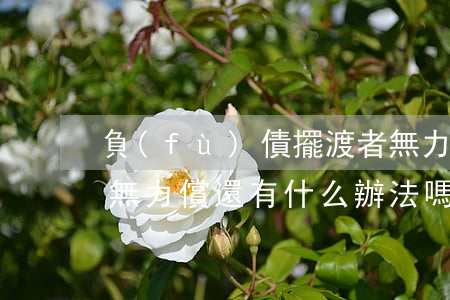 負(fù)債擺渡者無力償還 負(fù)債無力償還有什么辦法嗎