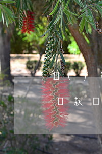 負(fù)債最低還款算不算逾期(還了最低還款額算逾期嗎)