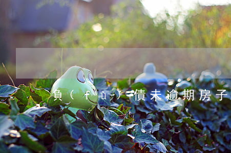 負(fù)債未逾期房子更名