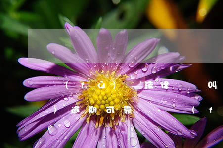 負(fù)債法律顧問叫我主動(dòng)逾期可靠嗎-負(fù)債法律顧問叫我主動(dòng)逾期可靠嗎是真的嗎