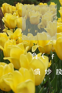 負(fù)債炒股翻身的例子-負(fù)債炒股翻身的例子有哪些