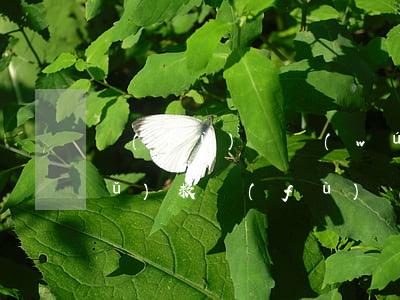 負(fù)債無(wú)力償還怎么補(bǔ)救(負(fù)債無(wú)力償還會(huì)判刑嗎)