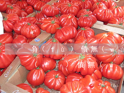 負(fù)債無(wú)路可走怎么辦-負(fù)債無(wú)路可走怎么辦走絕路?