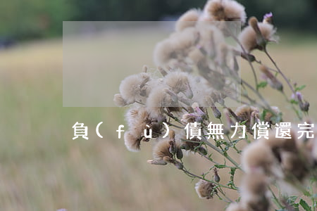 負(fù)債無力償還完整版