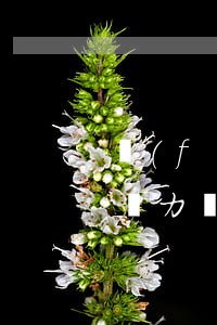 負(fù)債無力償還想死-負(fù)債無力償還想死會(huì)連累父母嗎