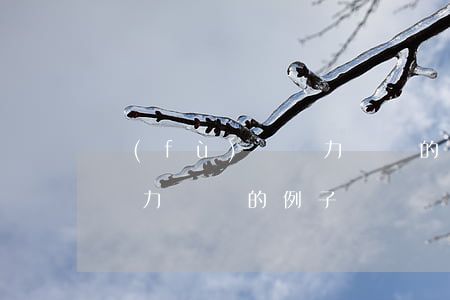 負(fù)債無力償還的例子(負(fù)債無力償還的例子)