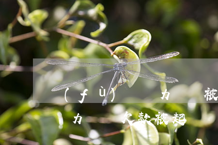 負(fù)債無力償還被起訴了怎么辦(本人無力償還欠款被起訴應(yīng)該怎么辦)