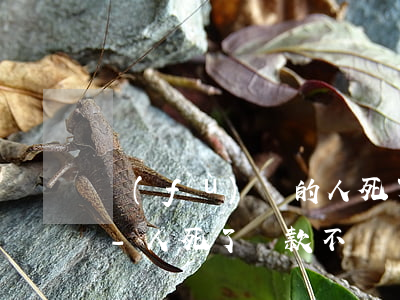 負(fù)債的人死了誰(shuí)還債-人死了貸款不還會(huì)連累家人嗎