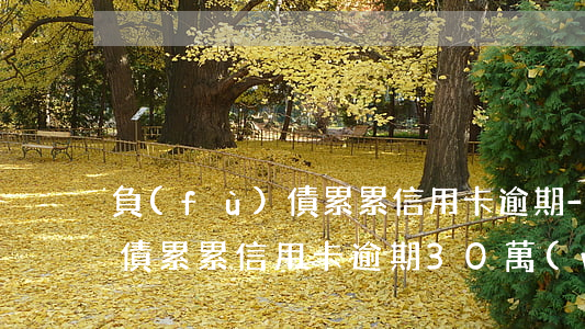 負(fù)債累累信用卡逾期-負(fù)債累累信用卡逾期30萬(wàn)坐牢
