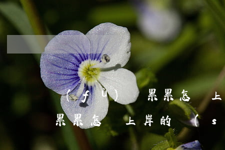 負(fù)債累累怎樣上岸-負(fù)債累累怎樣上岸的說(shuō)說(shuō)