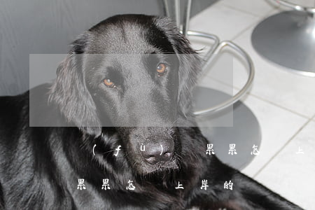 負(fù)債累累怎樣上岸-負(fù)債累累怎樣上岸的說說