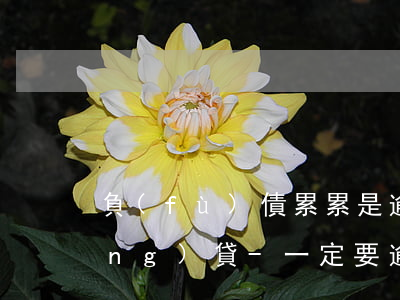 負(fù)債累累是逾期還是以貸養(yǎng)貸-一定要逾期才能協(xié)商還款嗎