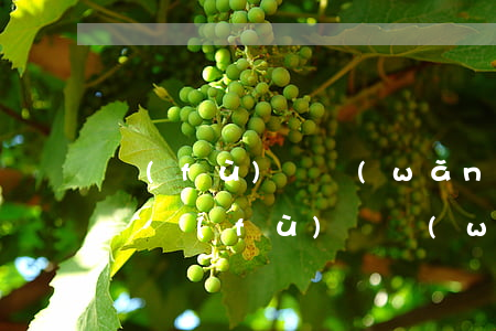 負(fù)債網(wǎng)貸還不起怎么辦(負(fù)債 網(wǎng)貸)